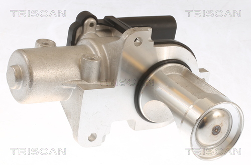 TRISCAN 8813 29101 AGR-VENTIL FÜR VW TRANSPORTER T5 BUS (7HB, 7HJ, 7EB ...